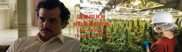 экстази Белокуриха