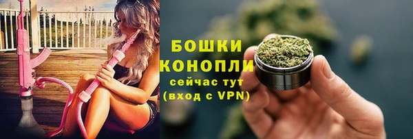дживик Богородск