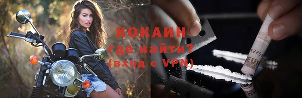дживик Богородск