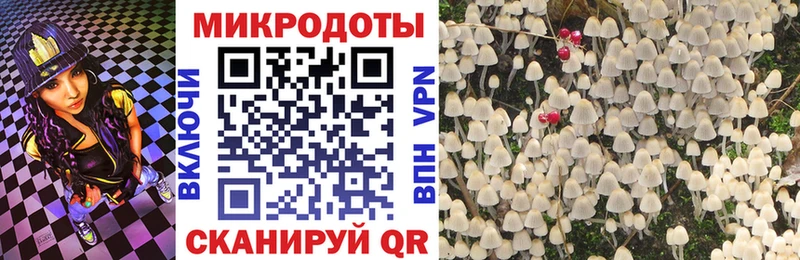 ссылка на мегу сайт  Верхний Тагил  Галлюциногенные грибы GOLDEN TEACHER 